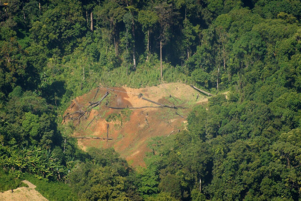 S__11469072